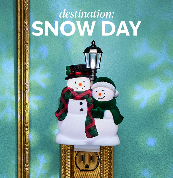 Destination: Snow Day