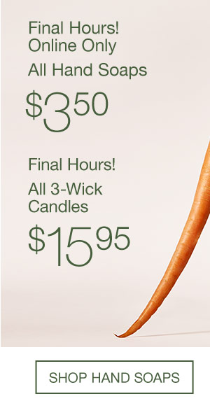 Final hours! Online only. FLASH SALE: Basket-Ready Gifts. All Hand Soaps  $3.50. All 3-Wick Candles $15.95. SHOP SOAPS.