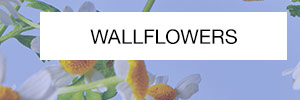 WALLFLOWERS