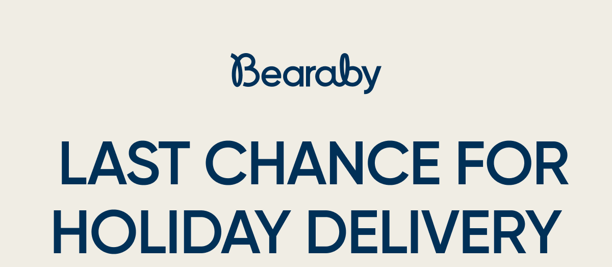 Last Chance for Holiday Delivery