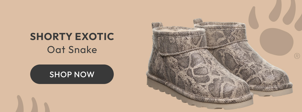 Shorty Exotic Oat Snake