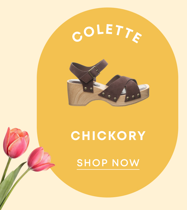 Colette Chickory