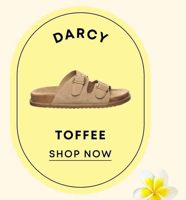 Darcy Toffee