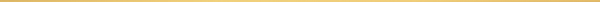 Header Divider 1