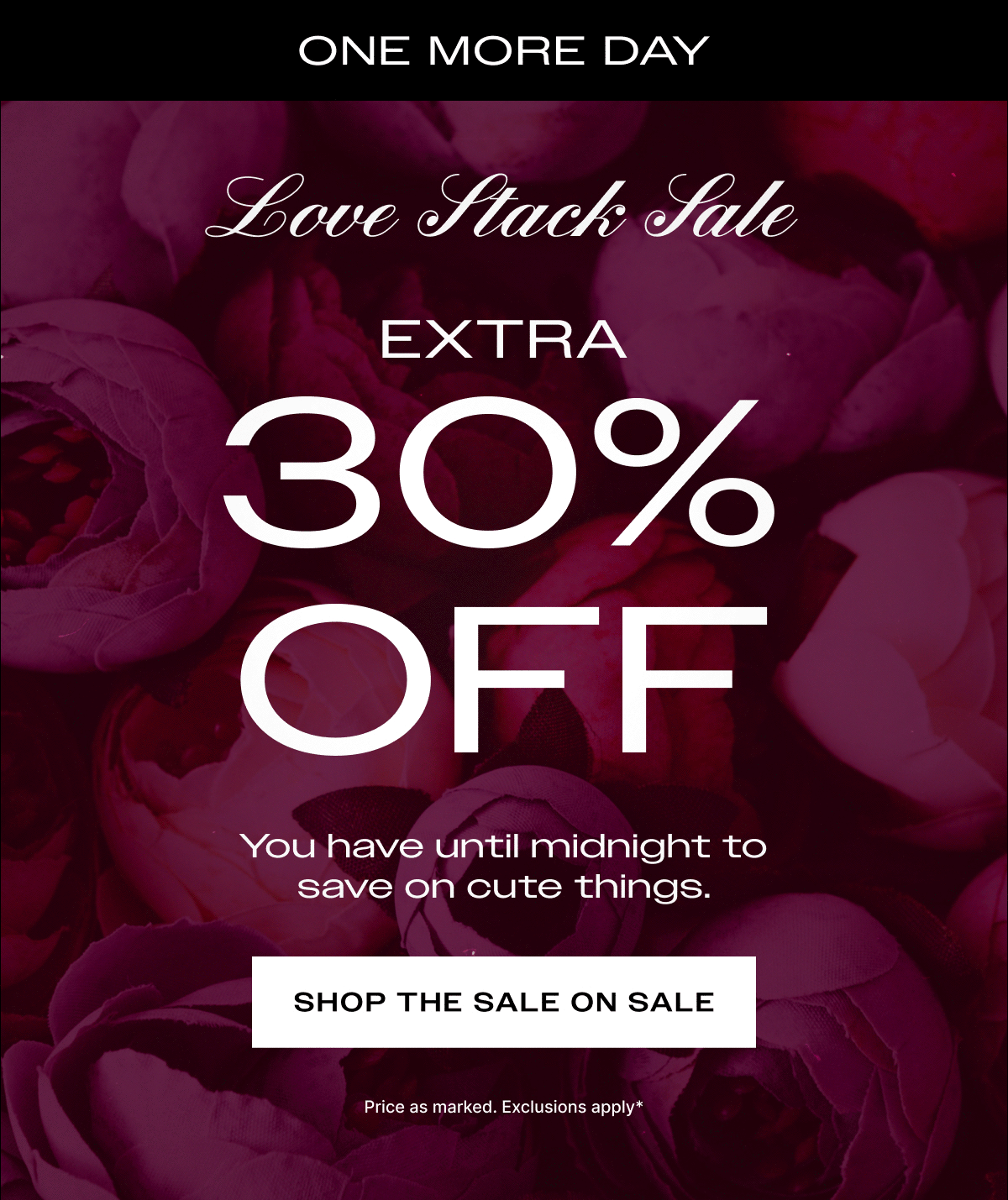 SHOP NOW