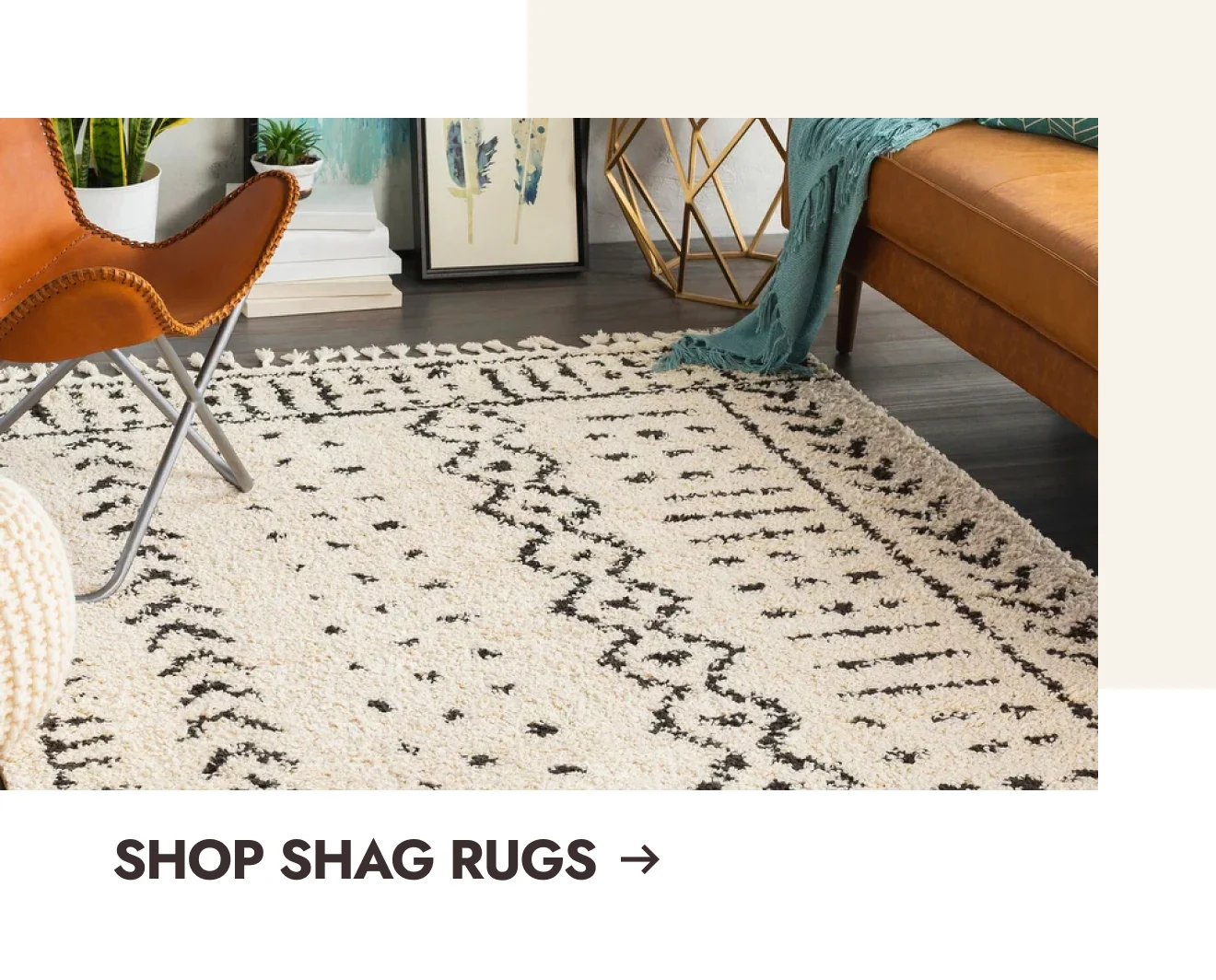 Shag Rugs
