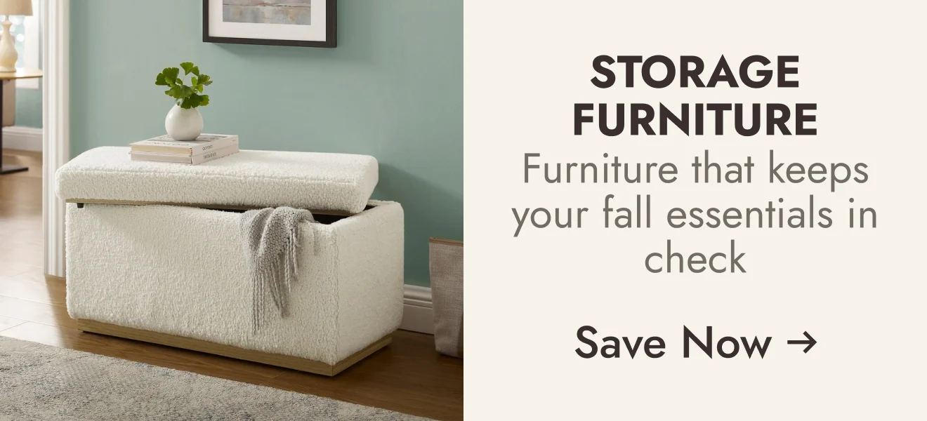 Storage Furniture