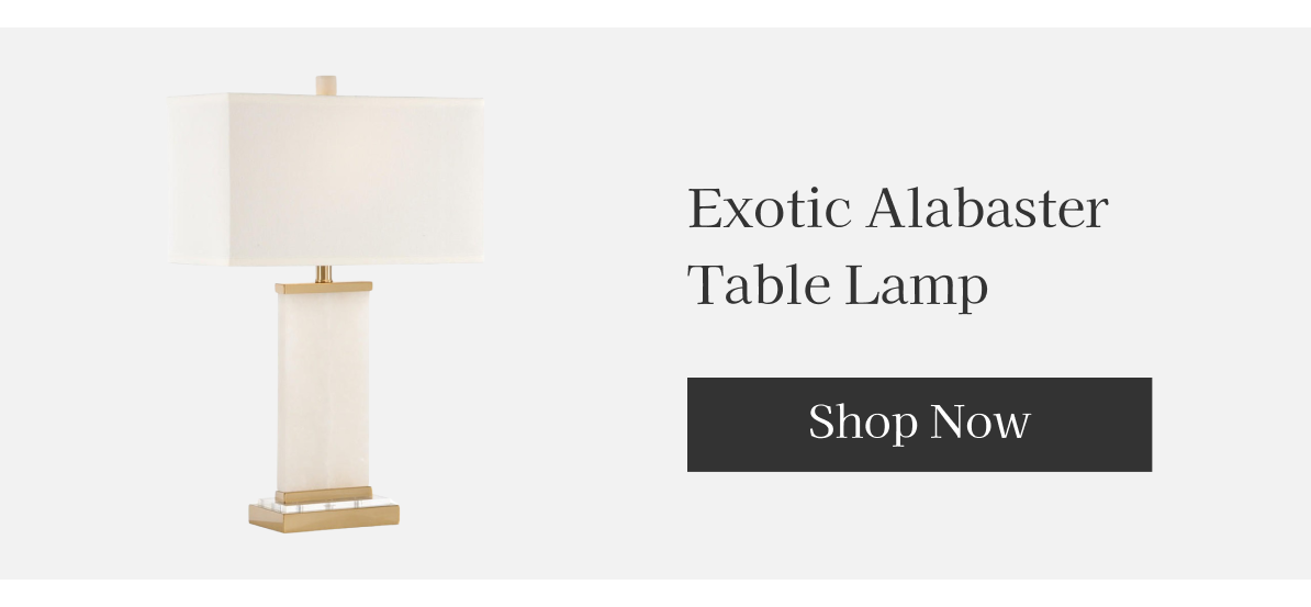 Exotic Alabaster Table Lamp