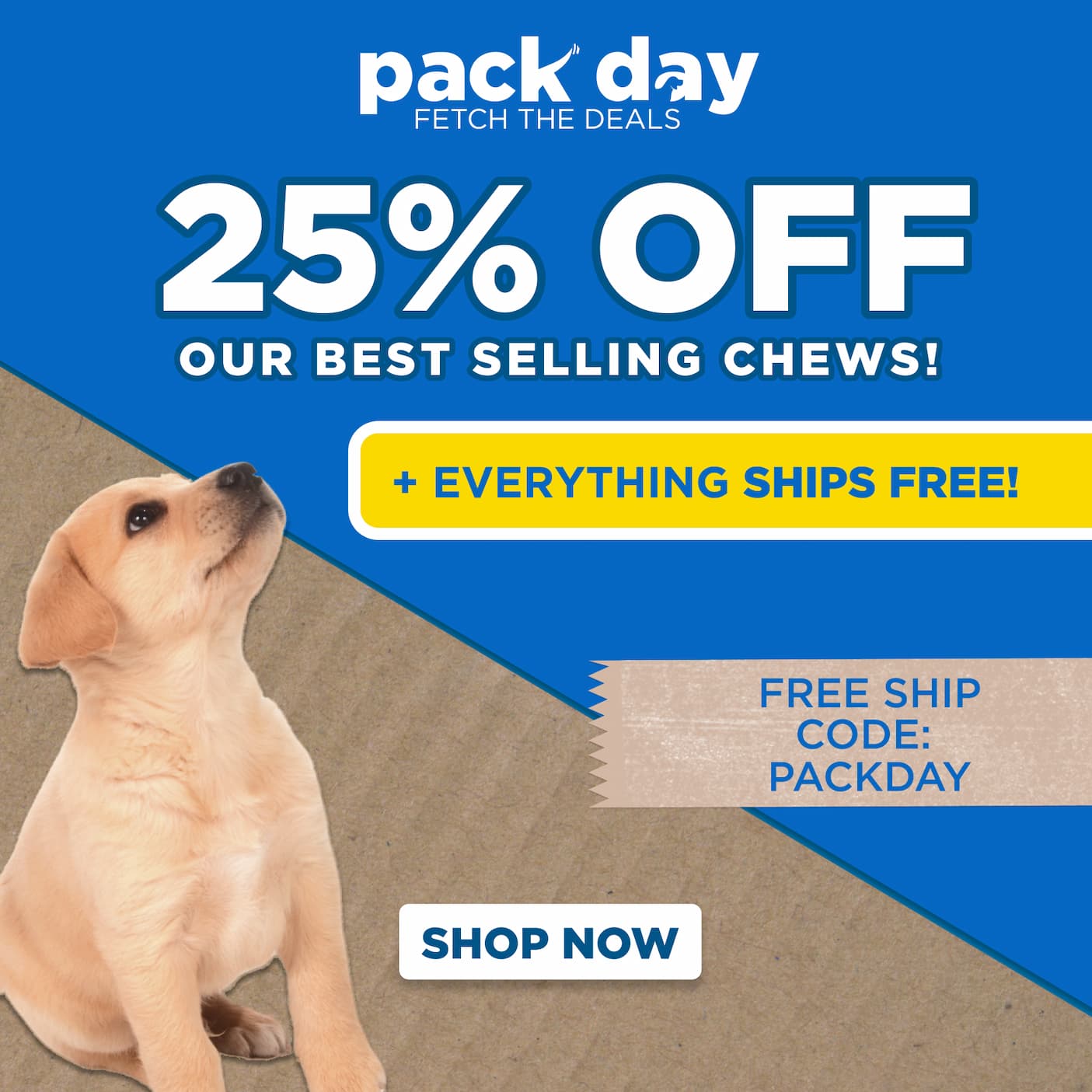 pack day deals 25% off best sellers everything ships free with code PACKDAY shop now
