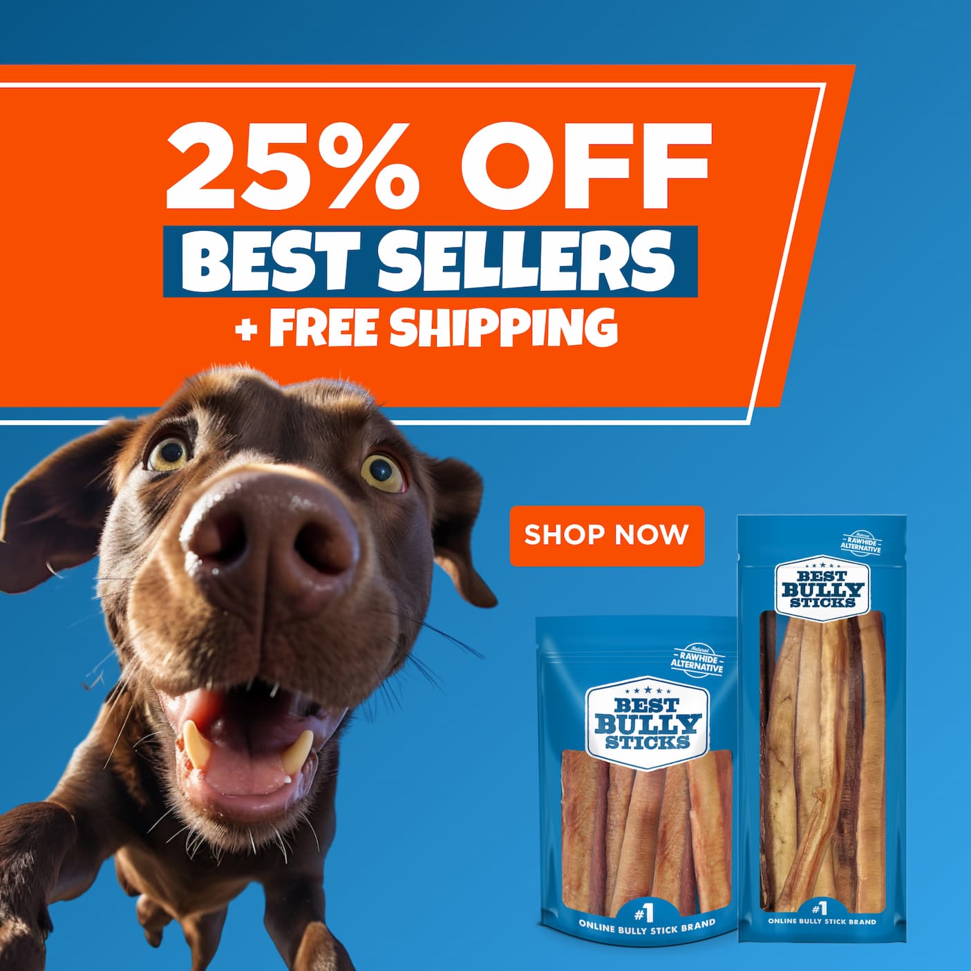 pack day deals 25% off best sellers everything ships free with code PACKDAY shop now