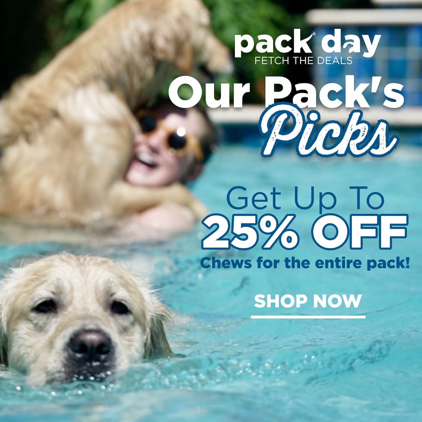 pack day deals 25% off best sellers everything ships free with code PACKDAY shop now
