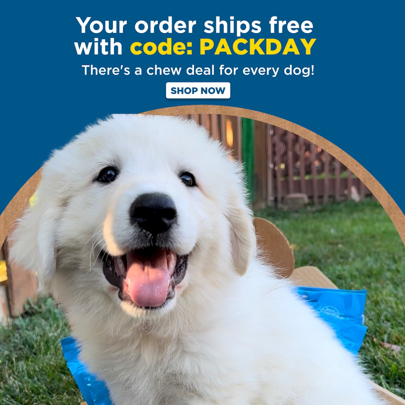pack day deals 25% off best sellers everything ships free with code PACKDAY shop now