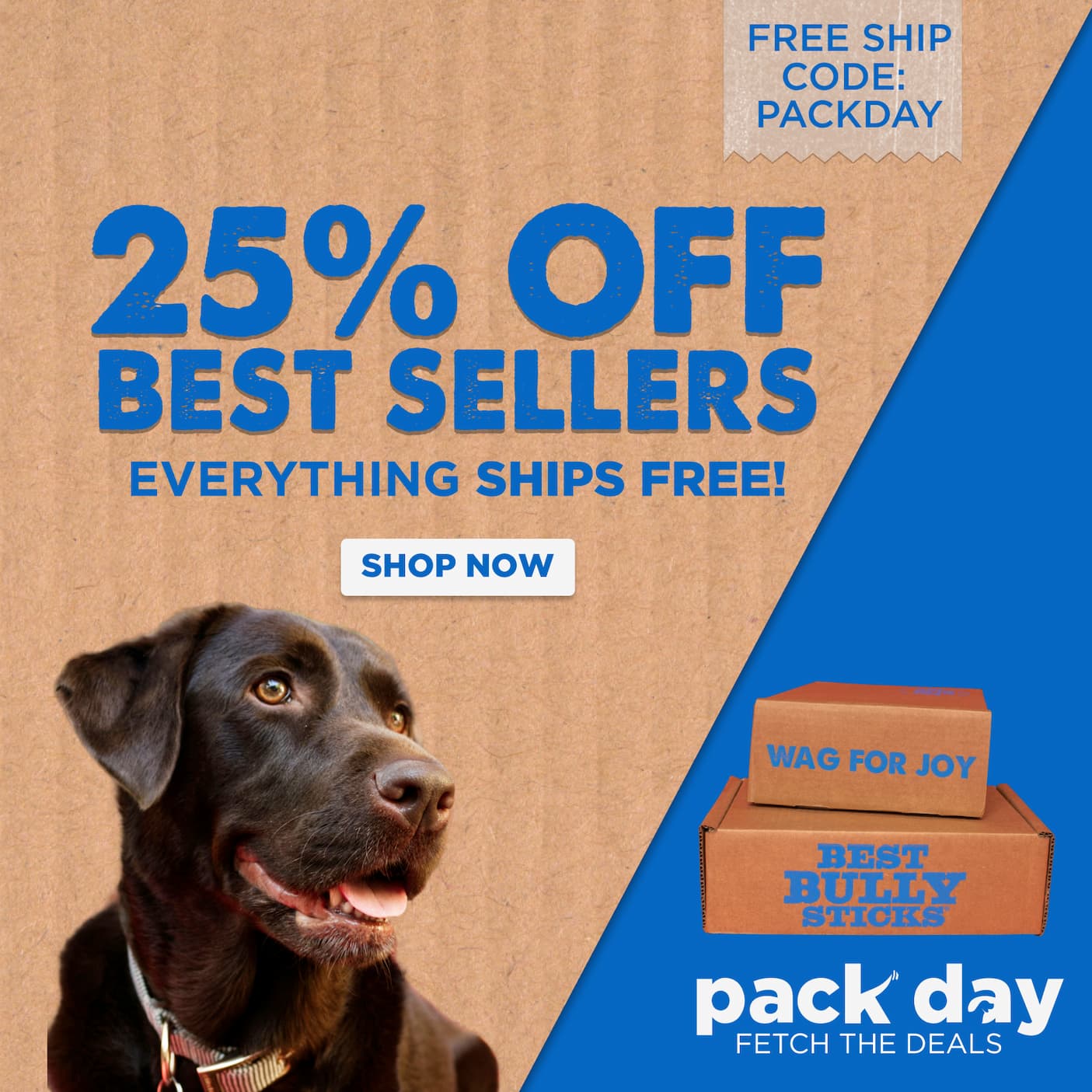 pack day deals 25% off best sellers everything ships free with code PACKDAY shop now