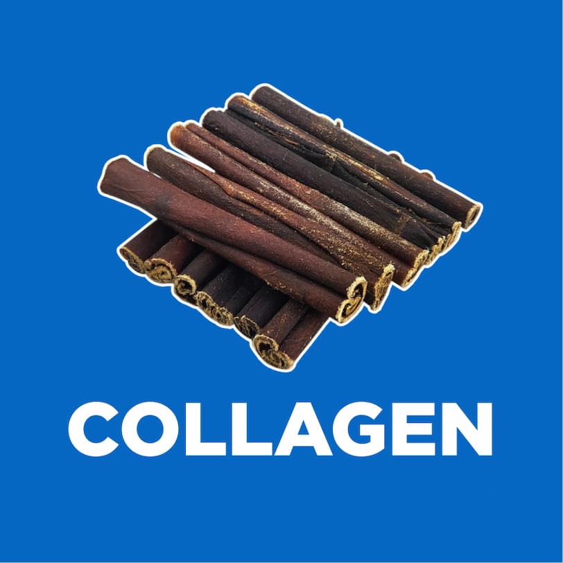 collagen 