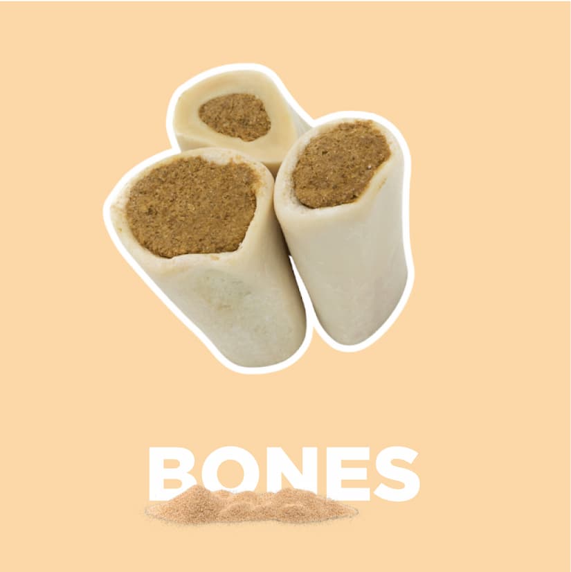 bones - shop now