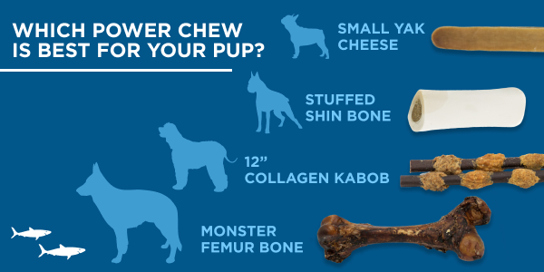 which power chews is best for your pup? 