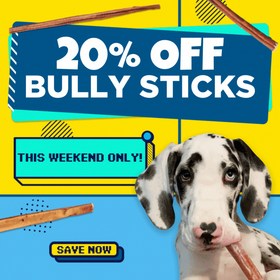 flash sale 20% off bully sticks save now