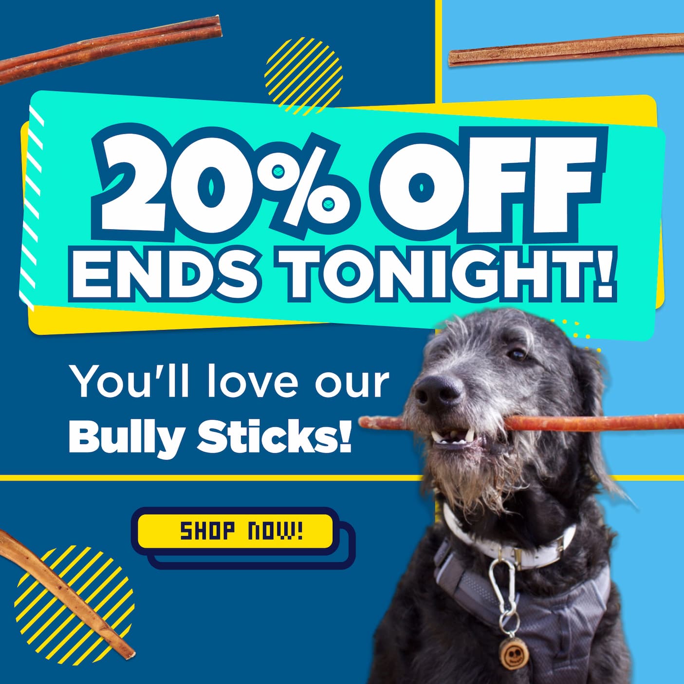  20% off bully sticks ends tonight shop now