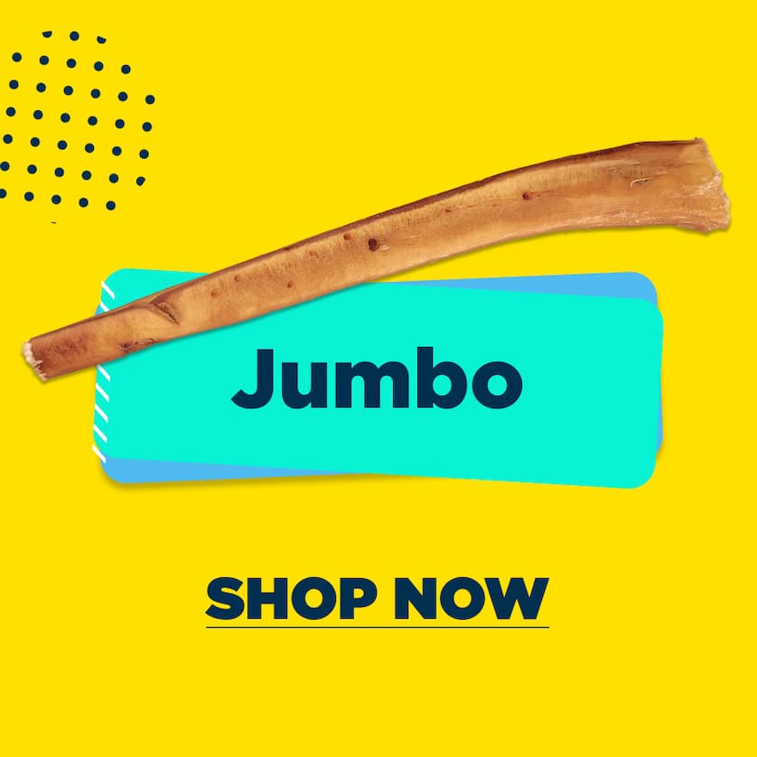 jumbo bully sticks - shop now