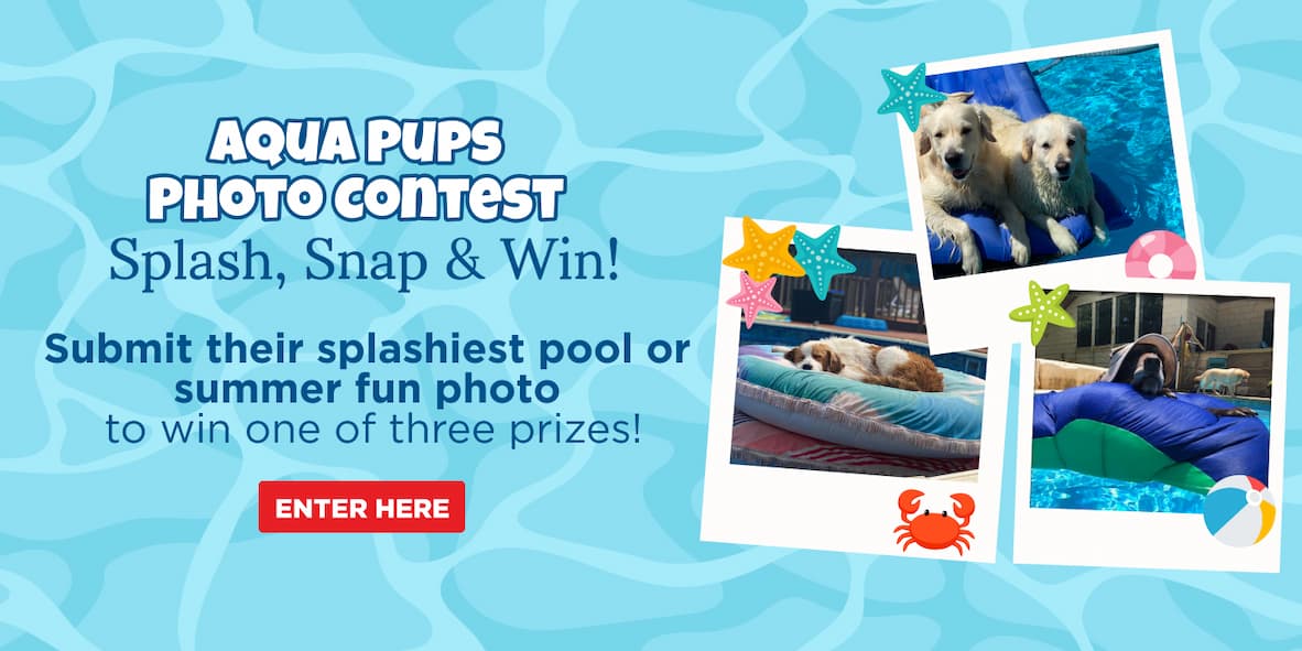 aqua pups photo contest - submit their splashiest pool or summer fun photo