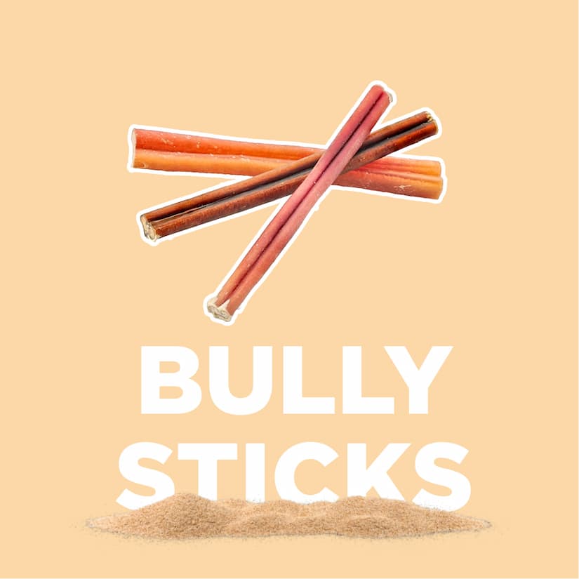 bully sticks - shop now