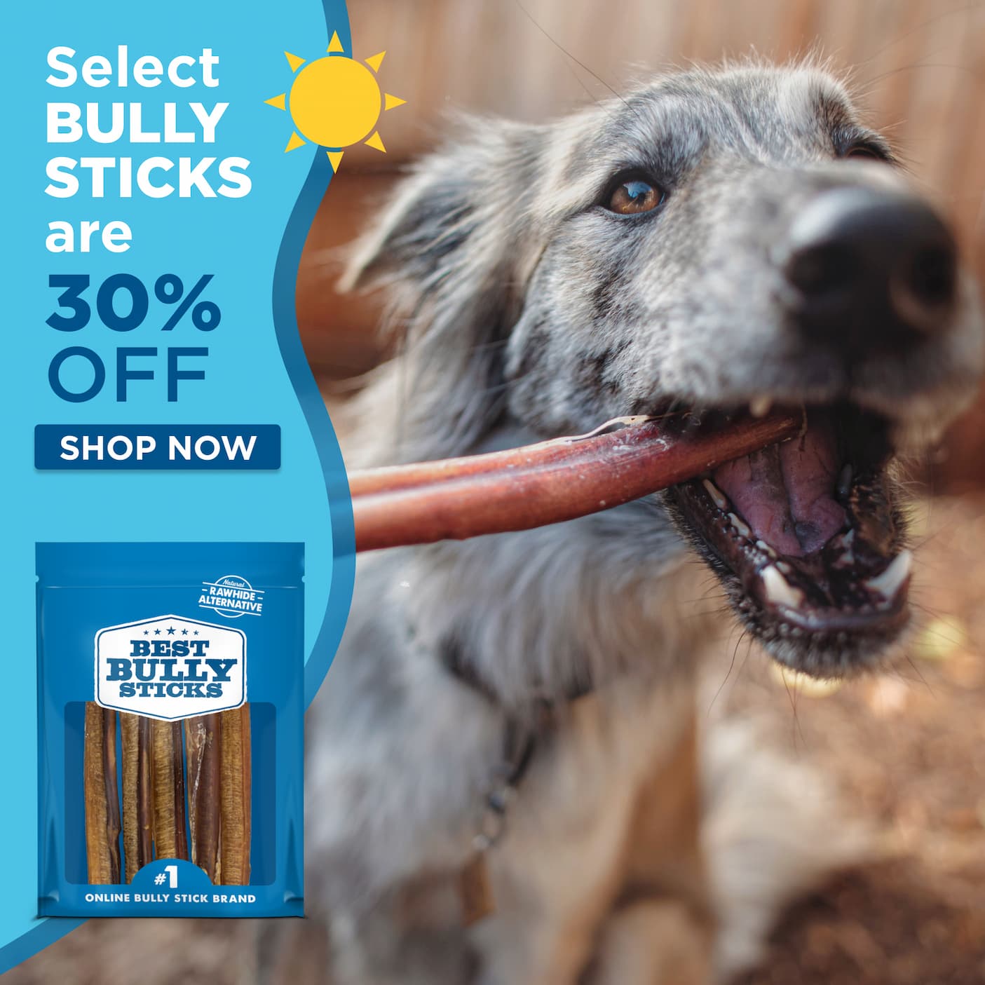 select bully sticks are 30% off shop now 