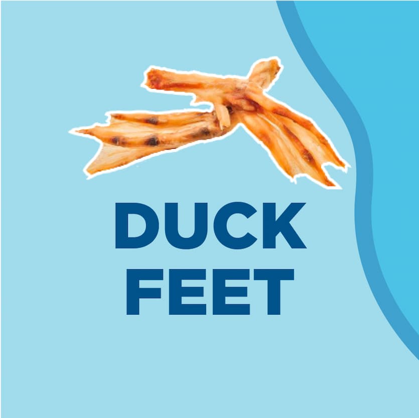 duck feet - shop now