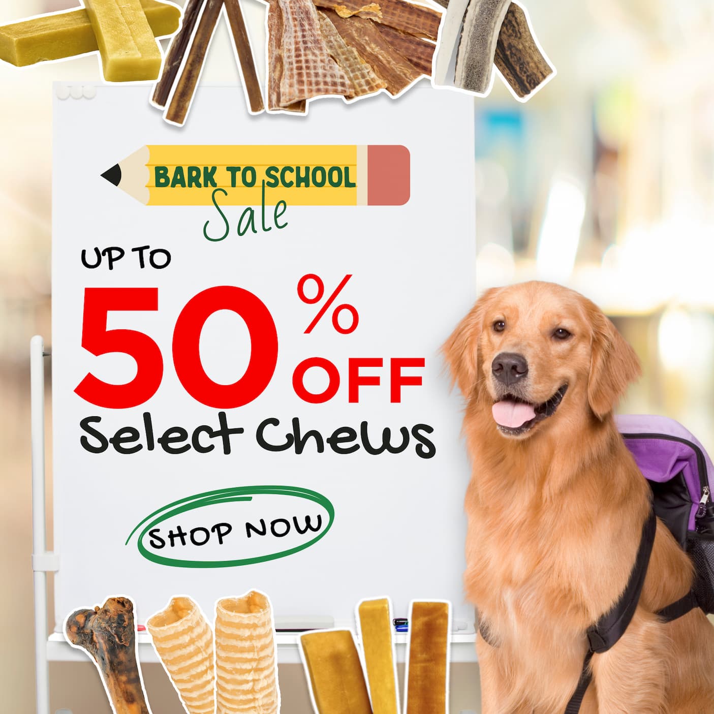 bark to school sale up to 50% off select chews shop now