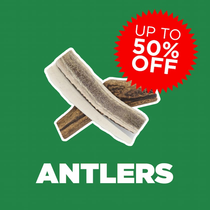 up to 50% off antlers - shop now
