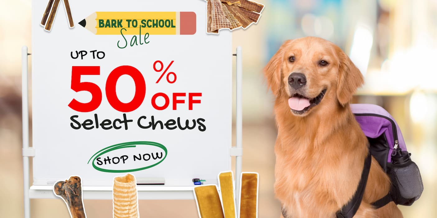 bark to school sale up to 50% off select chews shop now