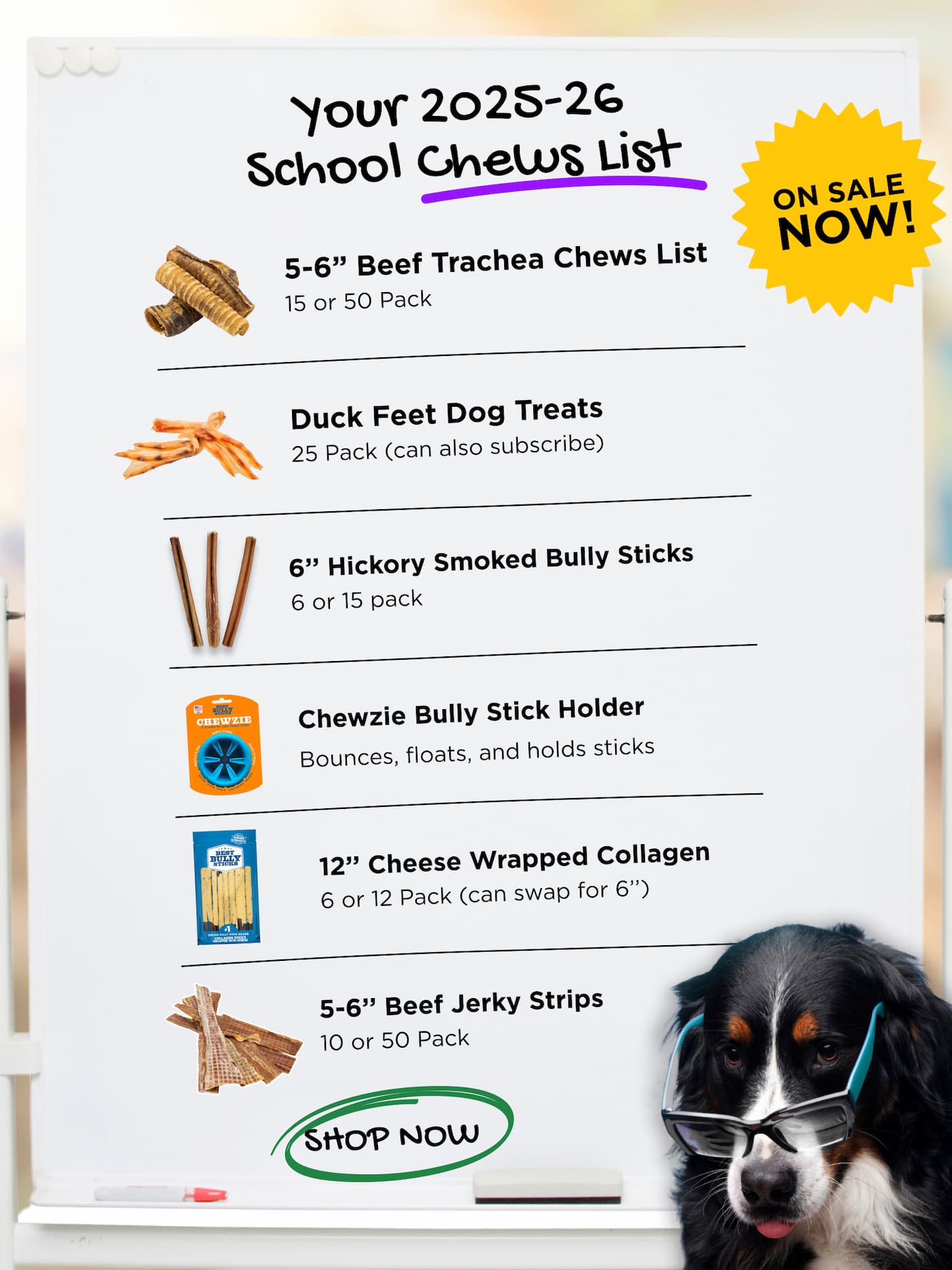 bark to school sale chews list up to 50% off select chews shop now