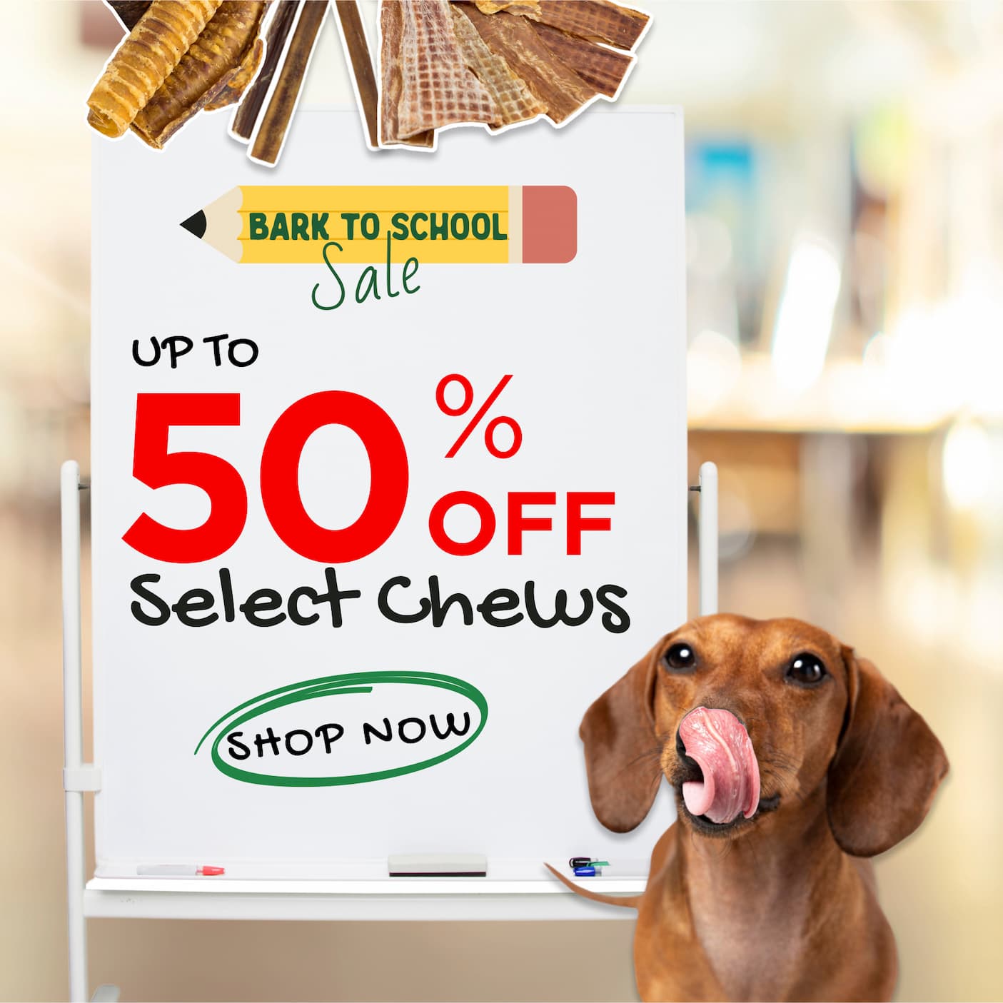 bark to school sale up to 50% off select chews shop now