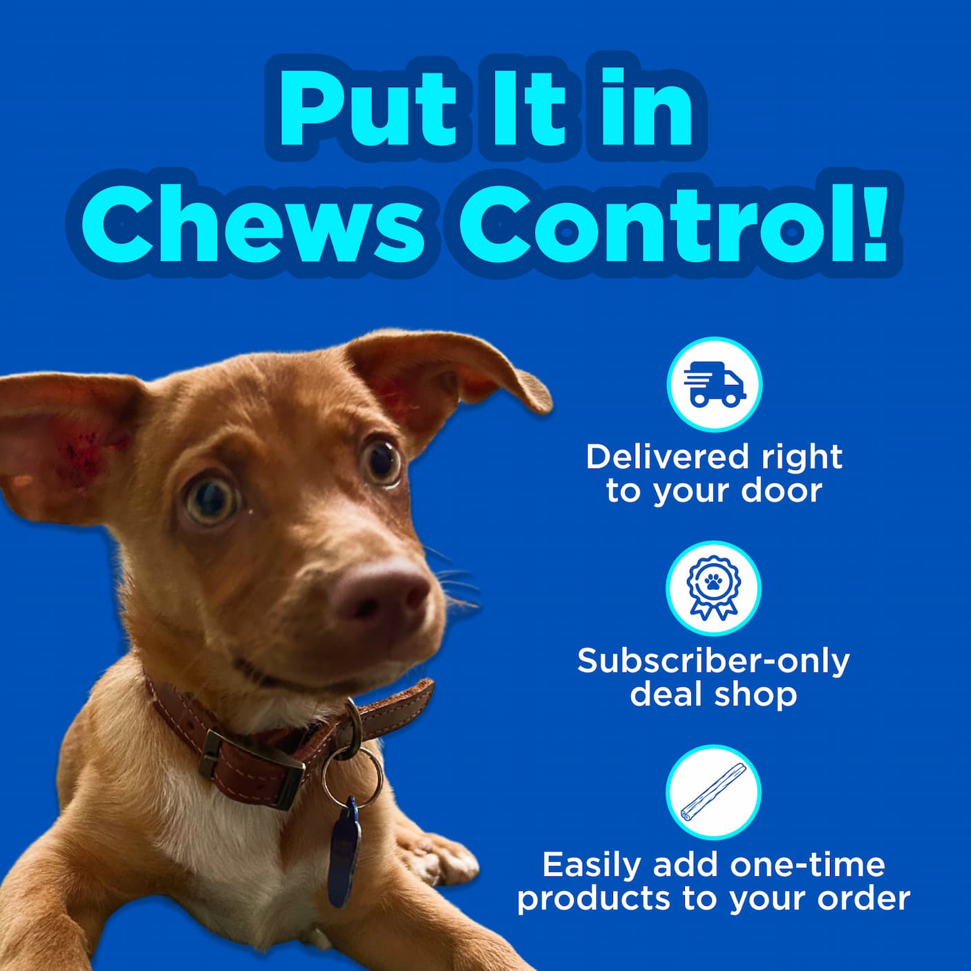 put it in chews control