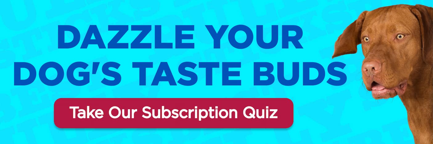 take our subscription quiz