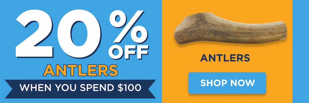 20% off antlers when you spend $100 shop now