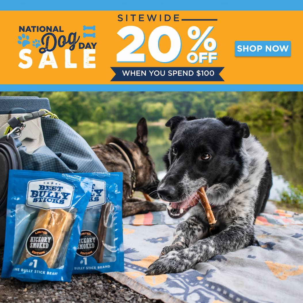 national dog day sale 20% off when you spend $100 shop now