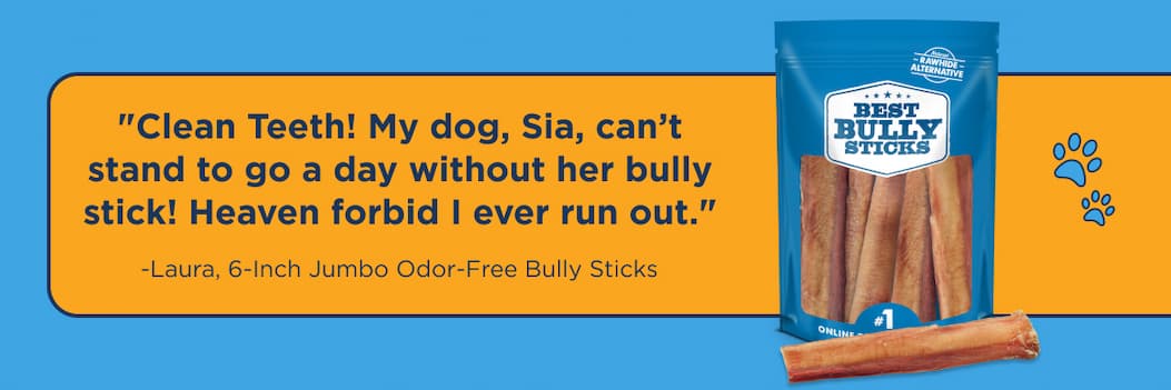 6" jumbo odor-free bully sticks