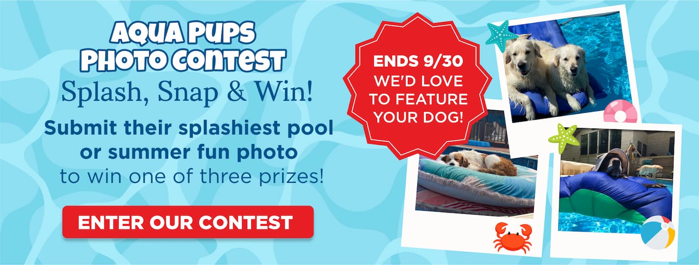 enter our photo contest!