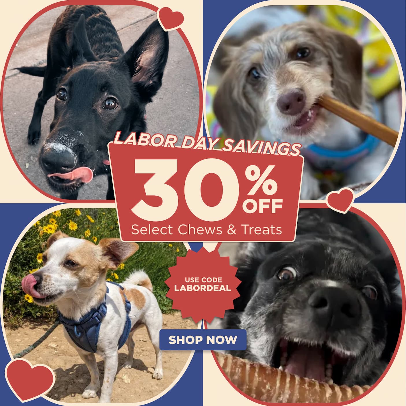 up to 30% off select chews labor day sale use code LABORDEAL shop now