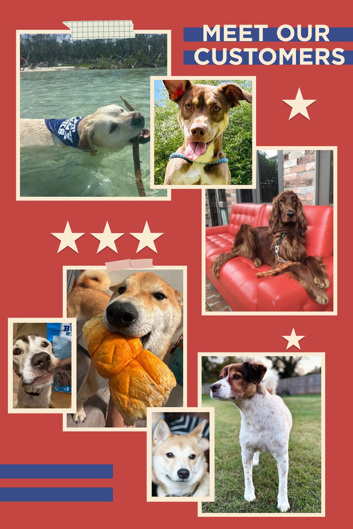 meet our customers