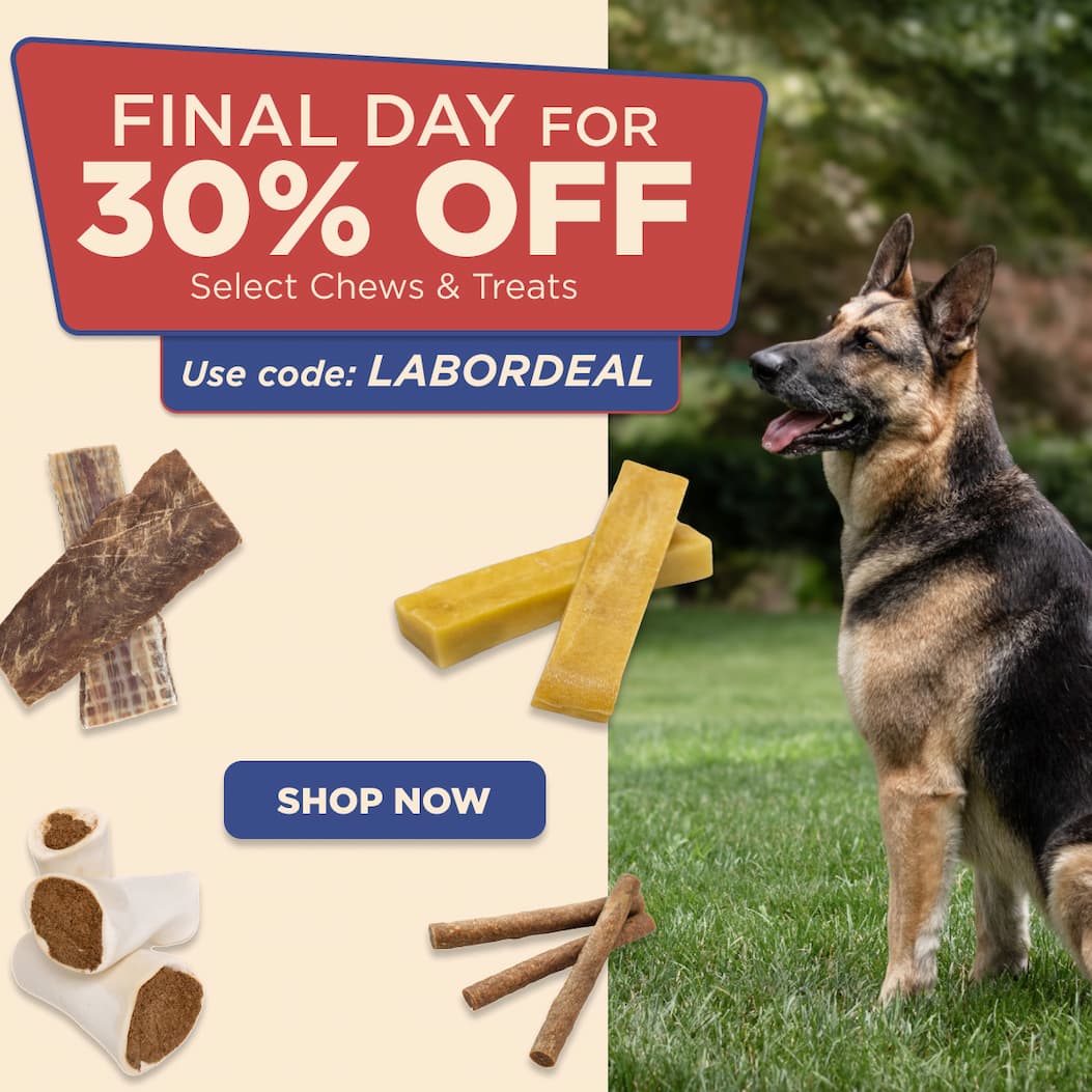 up to 30% off select chews labor day sale use code LABORDEAL shop now