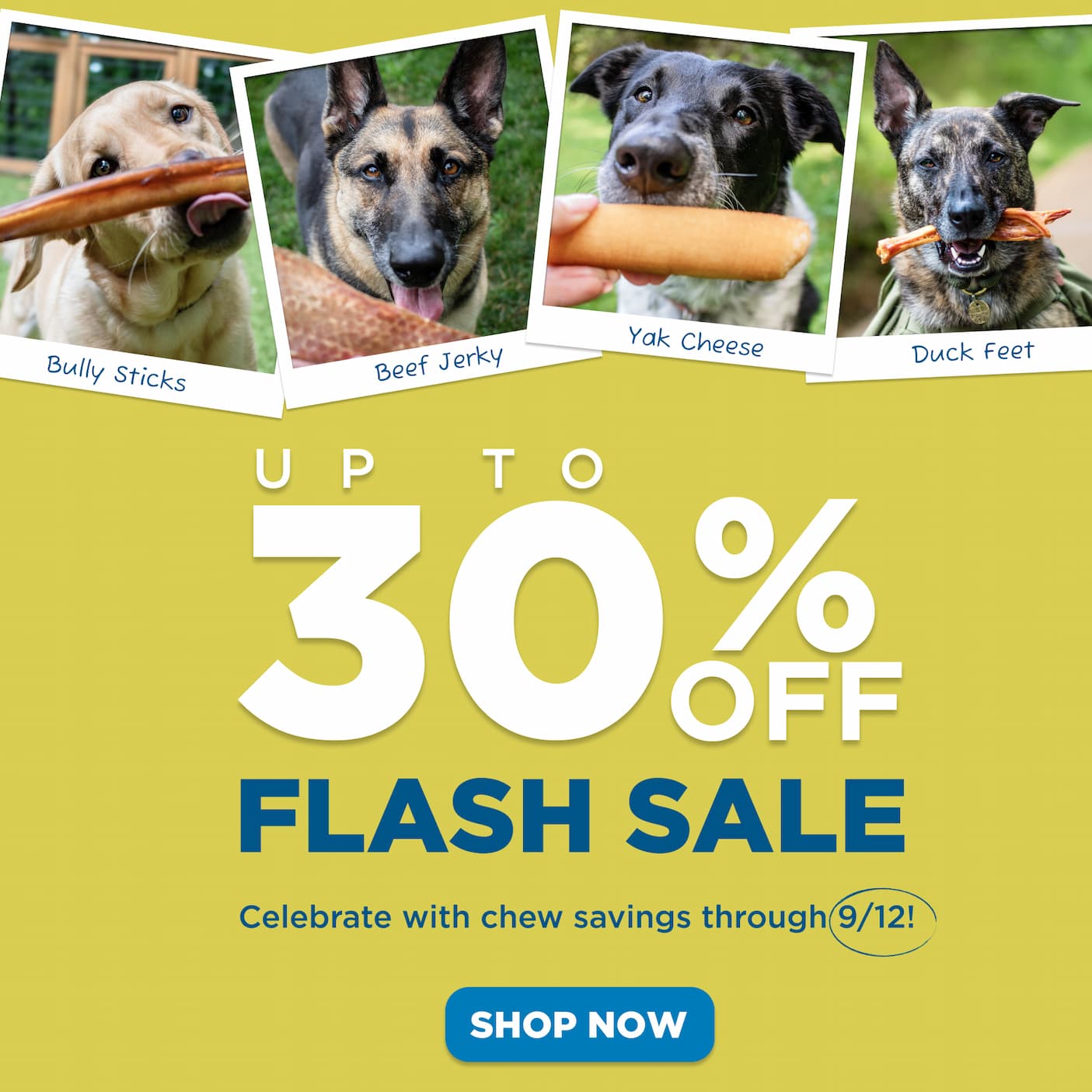 up to 30% off flash sale through 9/12 shop now