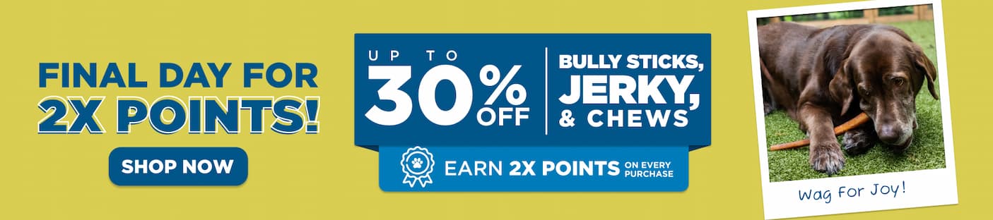 final day for 2X points up to 30% off shop now