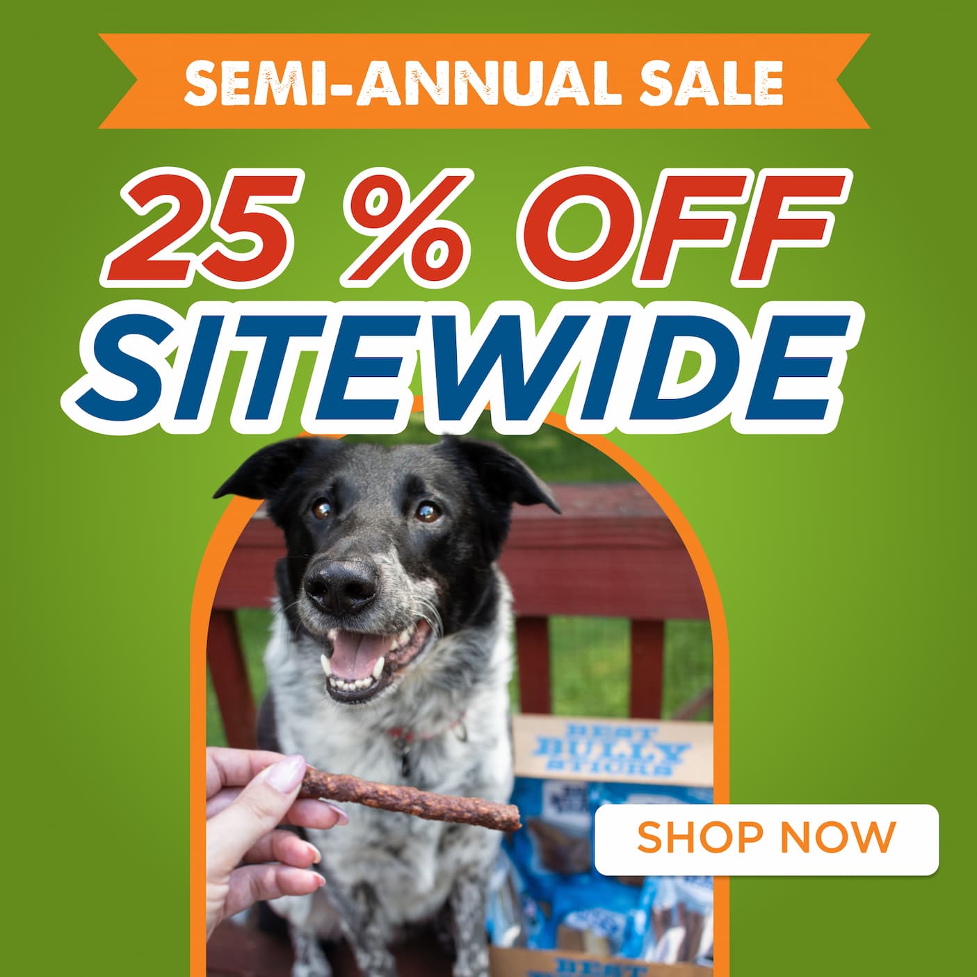 semi annual sale 25% off sitewide sale shop now