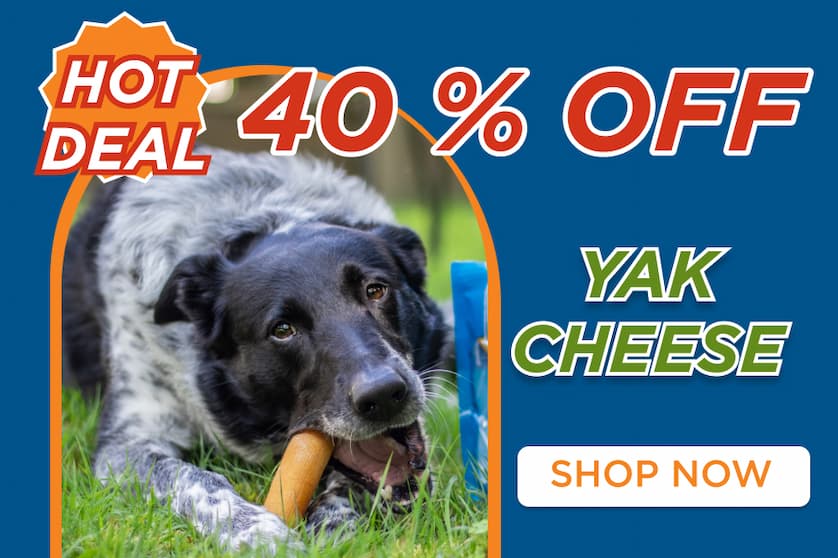 40% off yak cheese shop now