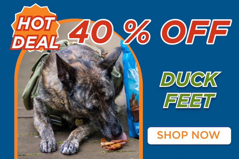 40% off duck feet shop now