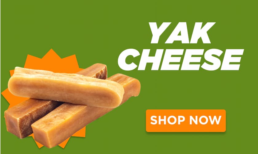 yak cheese shop now