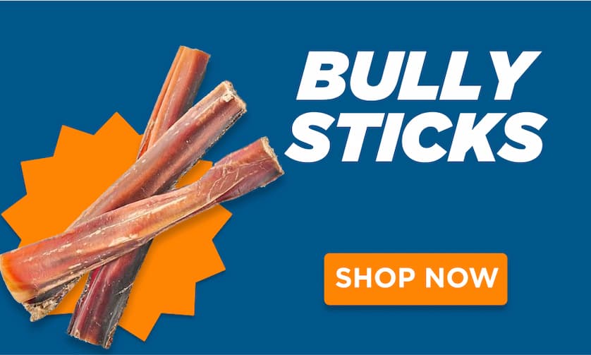bully sticks shop now