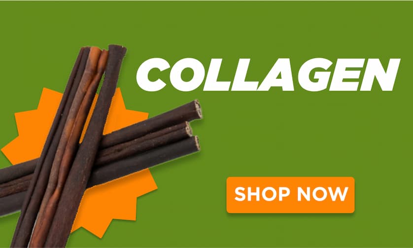 collagen shop now
