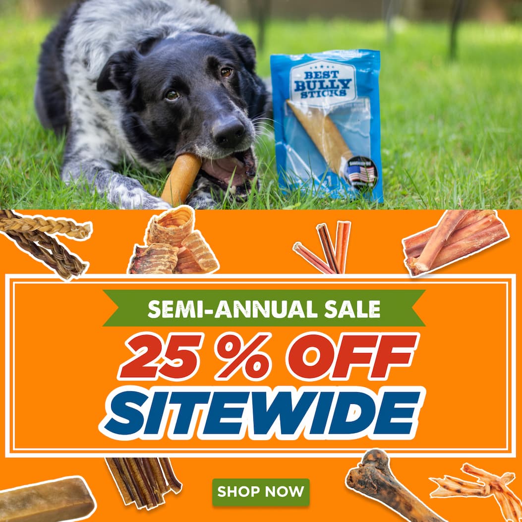semi-annual sale 25% off sitewide shop now